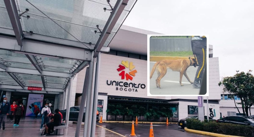 Señalan a Unicentro Bogotá por perro de seguridad desnutrido en 2026: foto clave