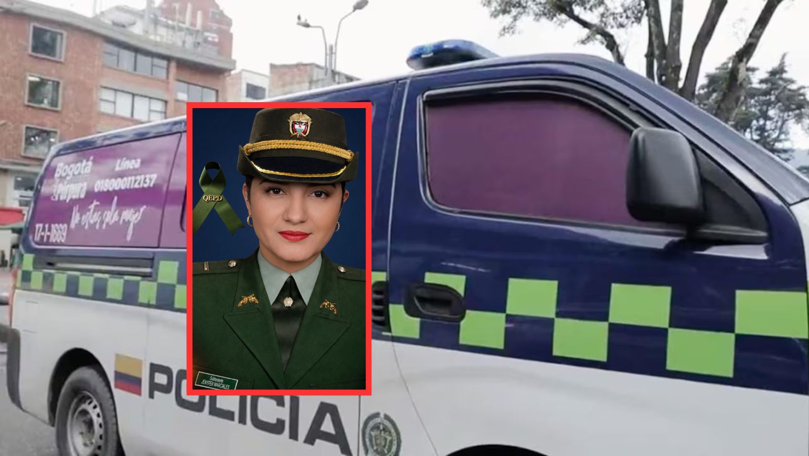 Imagen noticia seccion