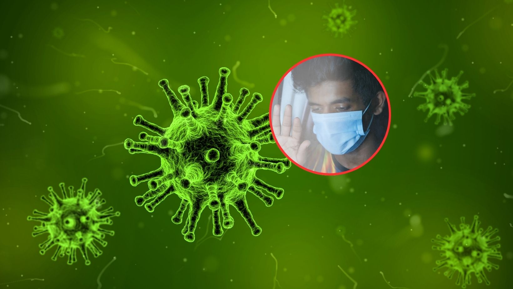 ¿Hay casos de hantavirus en Colombia? Ministerio de Salud se pronunció