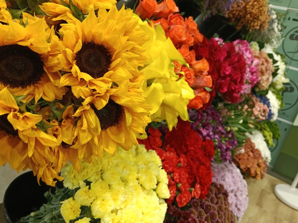 Flores colombianas en Estados Unidos / Pulzo
