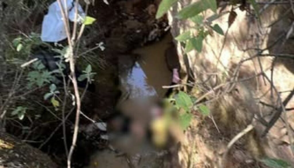 Lugar donde encontraron a Blanca Adriana Vázquez / Facebook: @Canal80 Hector Rosas