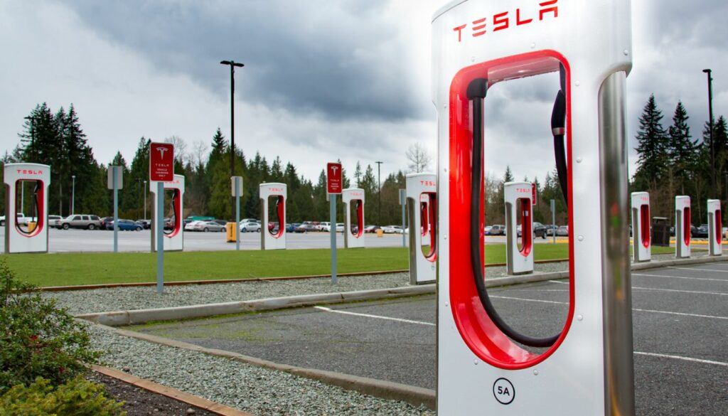 Cargadores de tesla (Getty)