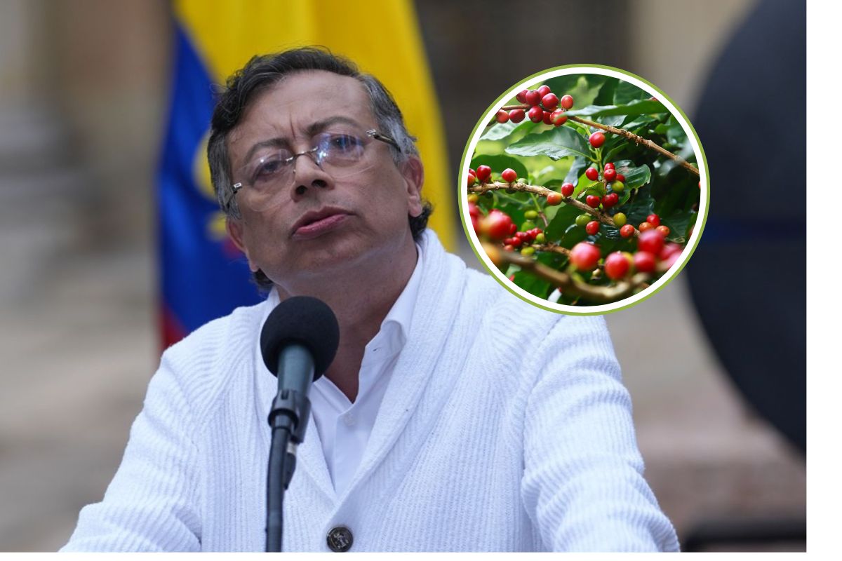 Imagen noticia seccion