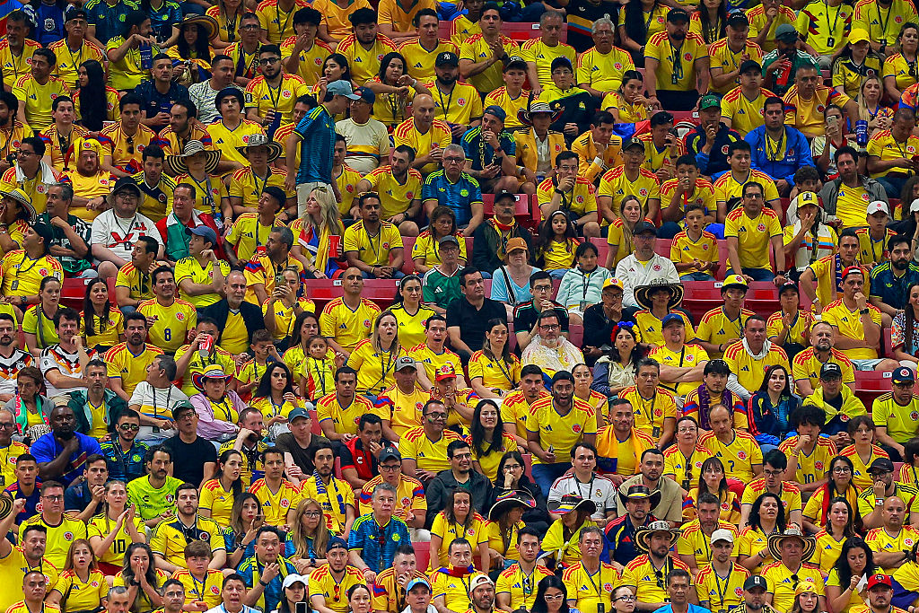 Hinchas de la Selección Colombia