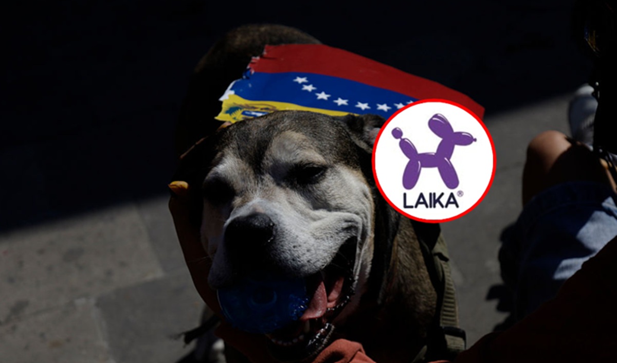 De fondo, imagen ilustrativa de mascotas venezolanas; resaltado el logo de Laika