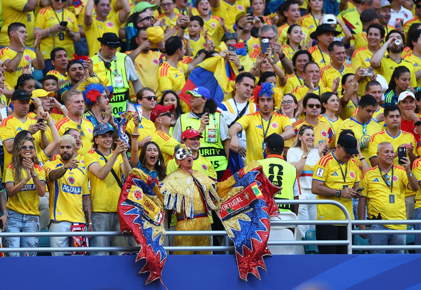 Hinchas de Colombia