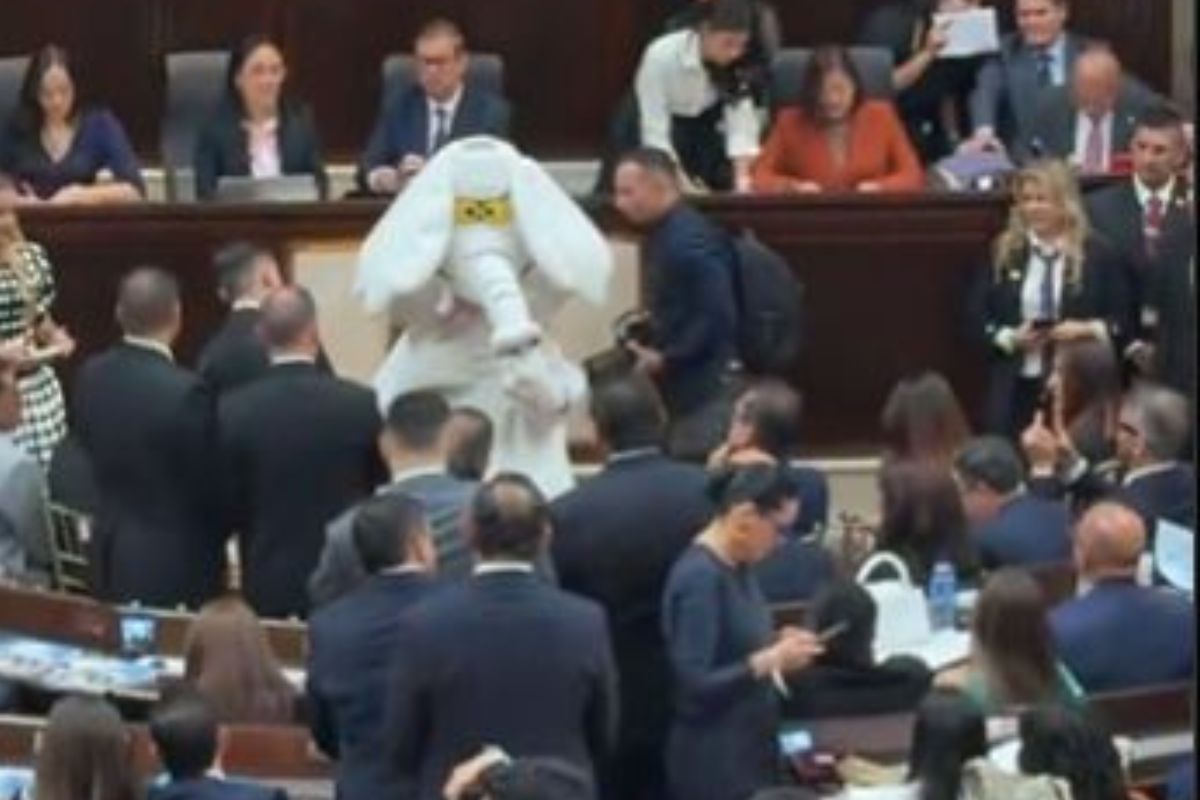 El nuevo senador Luis Carlos Rúa, conocido como el "Elefante Blanco", llegó disfrazado al Capitolio en la instalación del Congreso 2026-2030. 