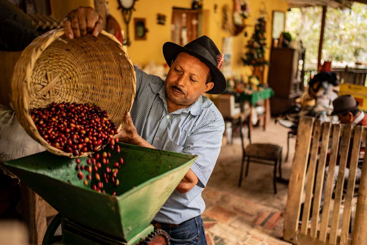 Café de campesinos colombianos va a Expocafé Chile 2026 en julio gracias a ADR