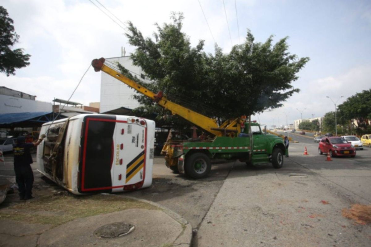 Imagen noticia seccion