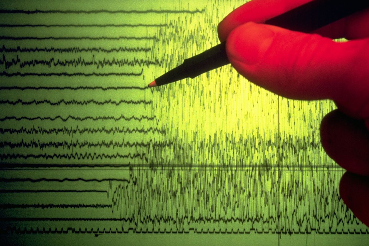 Un terremoto de magnitud 7,1 sacudió el suroeste de Japón, dejando al menos 50 hospitalizados, 12 edificios colapsados y cortes de energía.