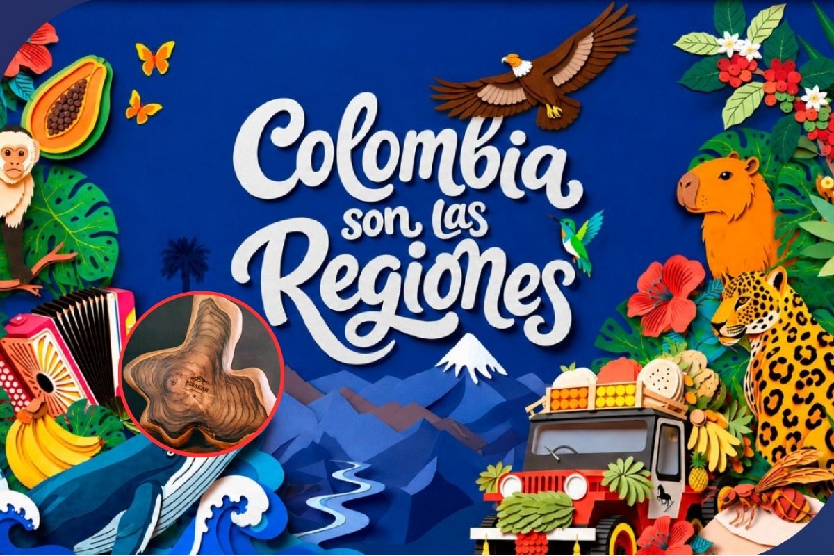 Imagen noticia seccion