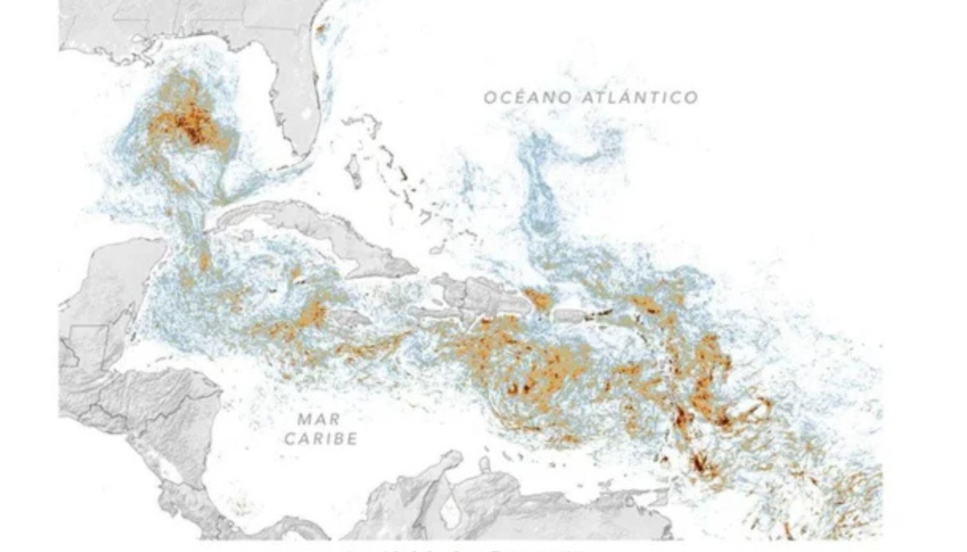 Nasa alerta por cinturón de sargazo en Atlántico que podría llegar a Colombia