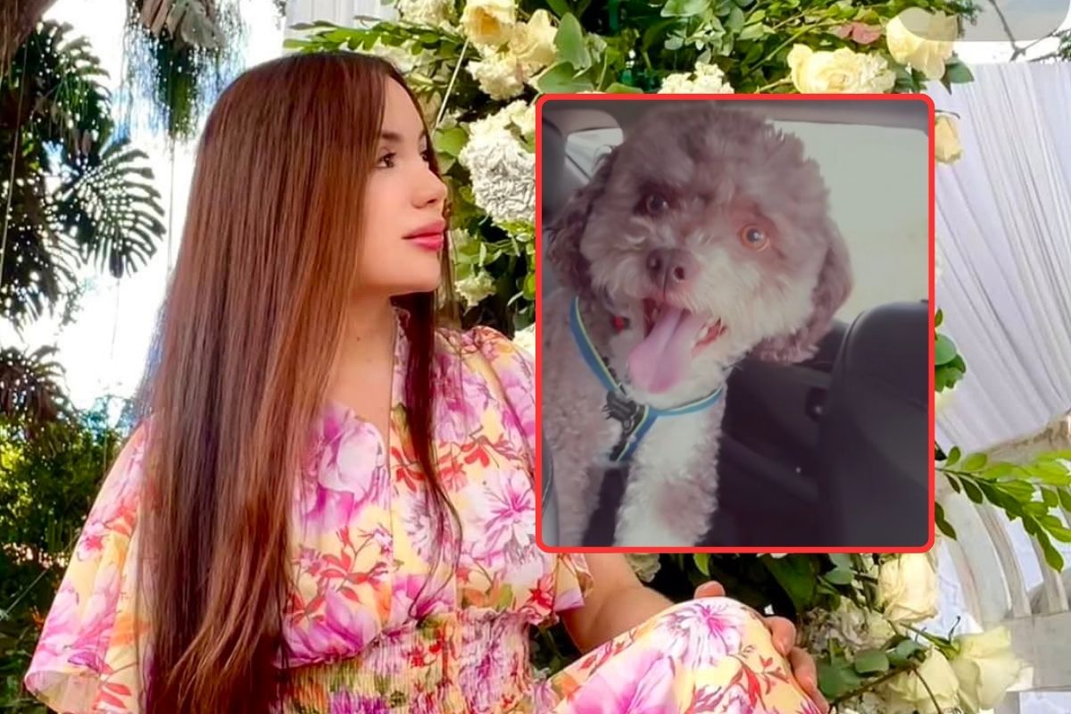 Abogada Lenny Fernández murió en Cali protegiendo a su perro: hay detalles