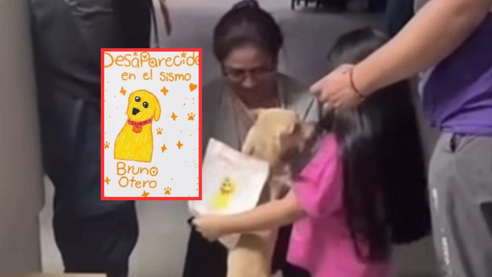 Niña perdió a su perro durante el terremoto y salió a buscarlo con un dibujo