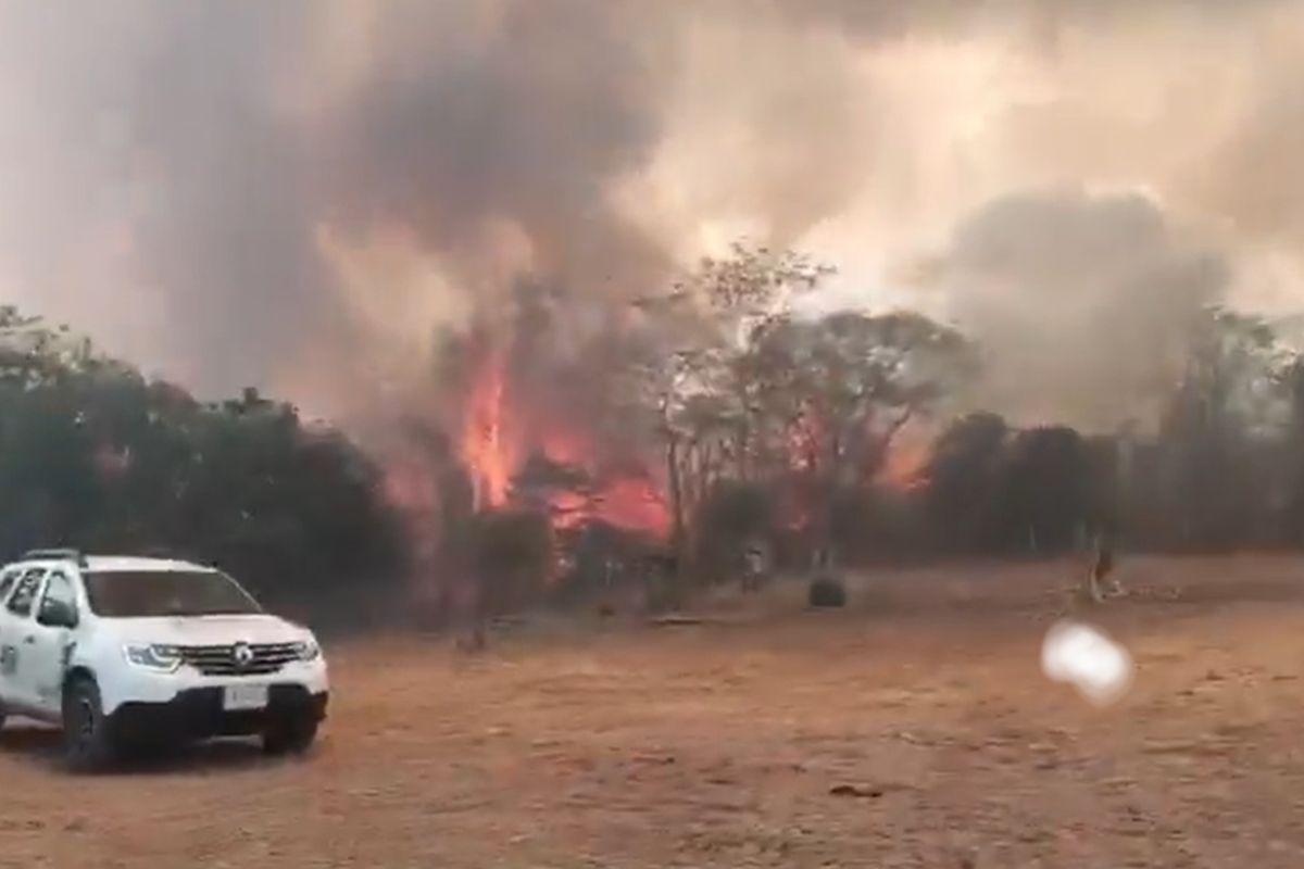 Extraña situación con incendios en Tolima: humo negro despertó sospechas