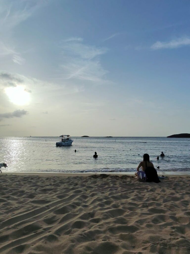 Playas de Puerto Rico / Andrés Murcia (Pulzo)