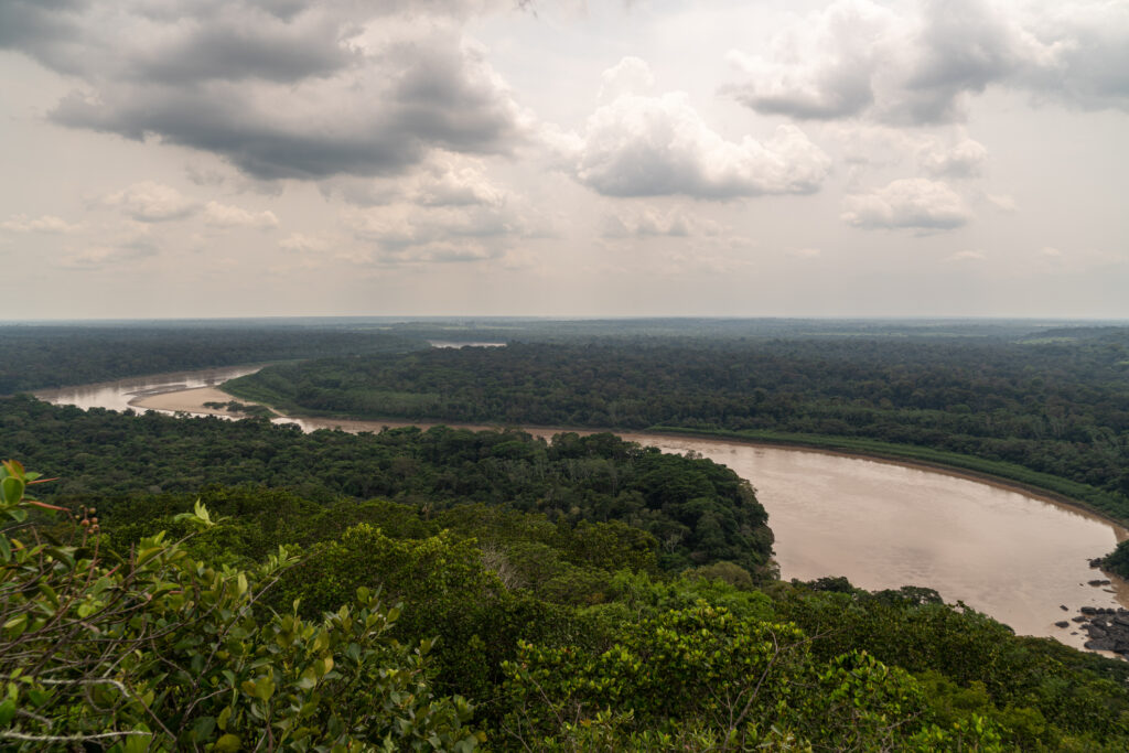 Amazonas (Getty)