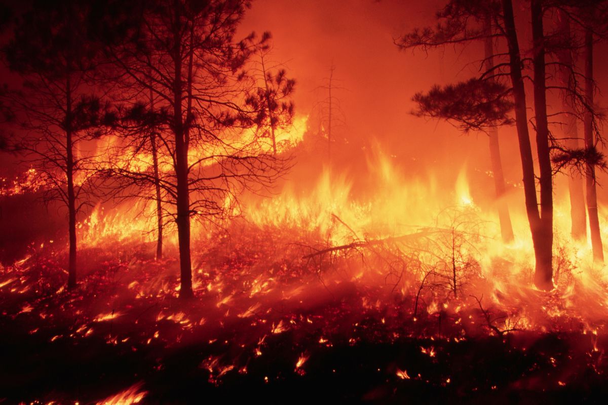 Estados Unidos anuncia ayuda por incendios forestales en Colombia y de qué trata