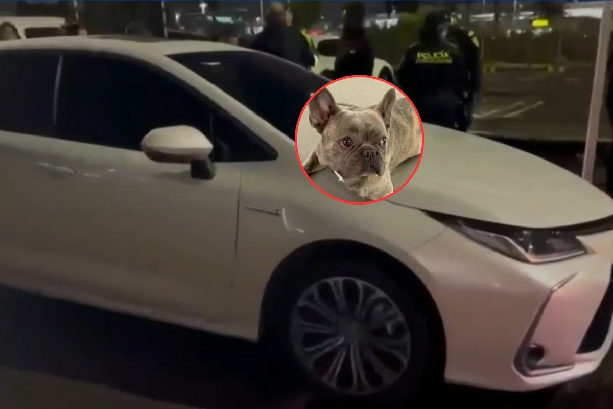 Robaron carro con mascota adentro en Bogotá: persecución terminó en El Dorado