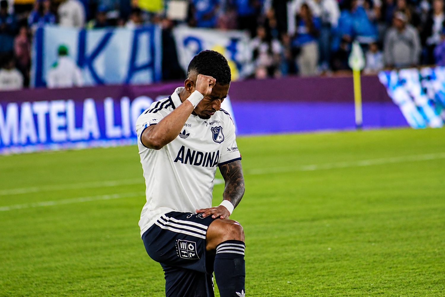 Imagen noticia seccion