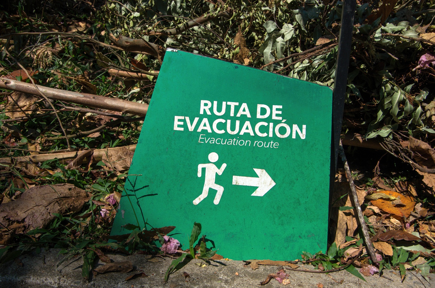 Imagen noticia seccion