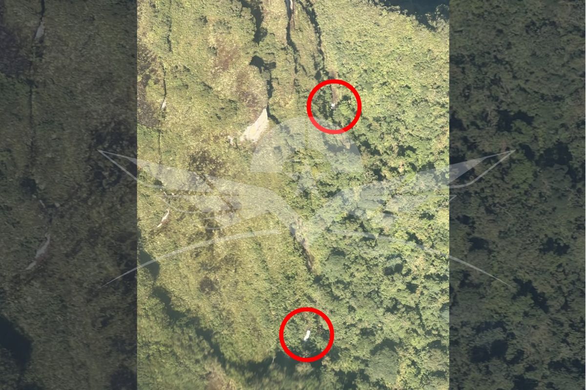 Apareció aeronave que iba para Guaymaral desde Chocó con cinco personas