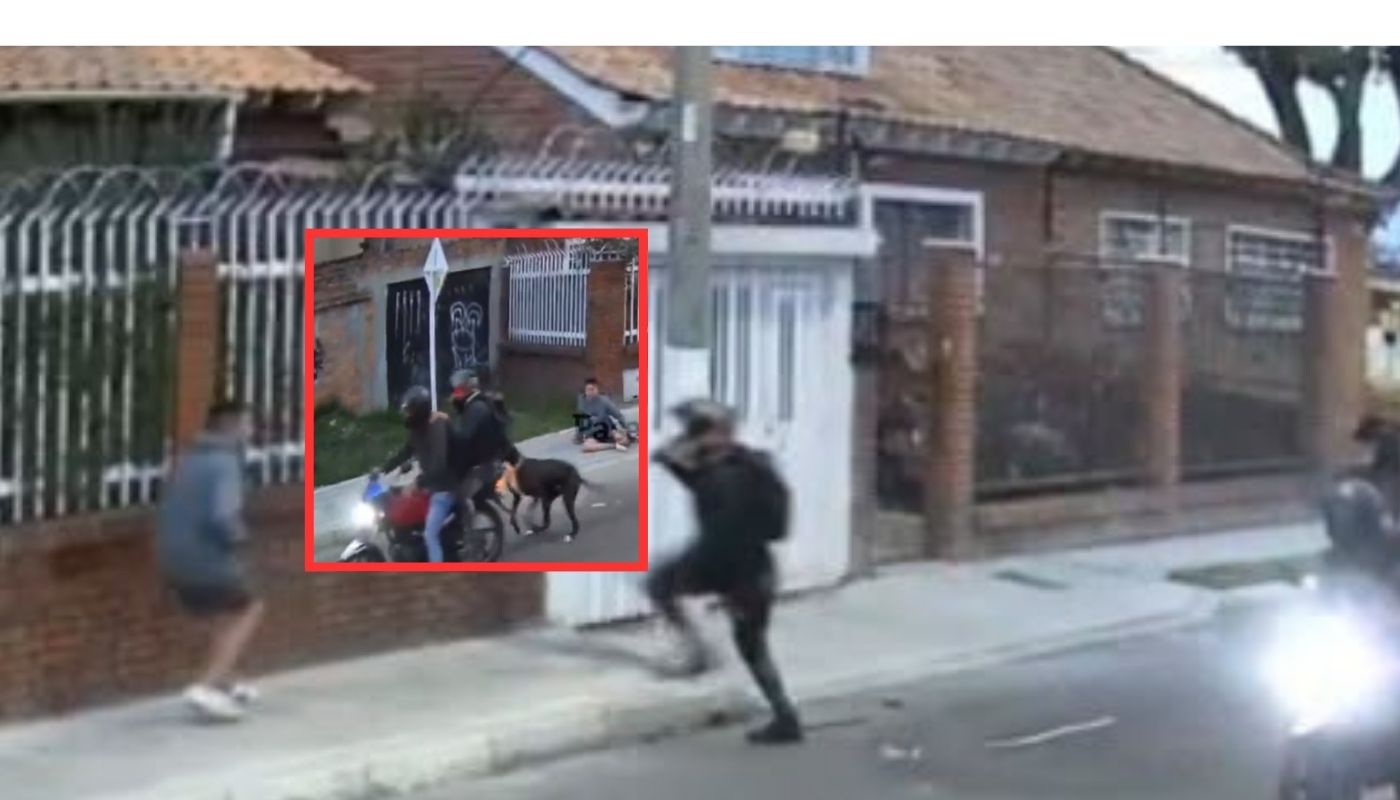 Perro salvó a su dueño de robo de celular y enfrentó a ladrón en Bogotá