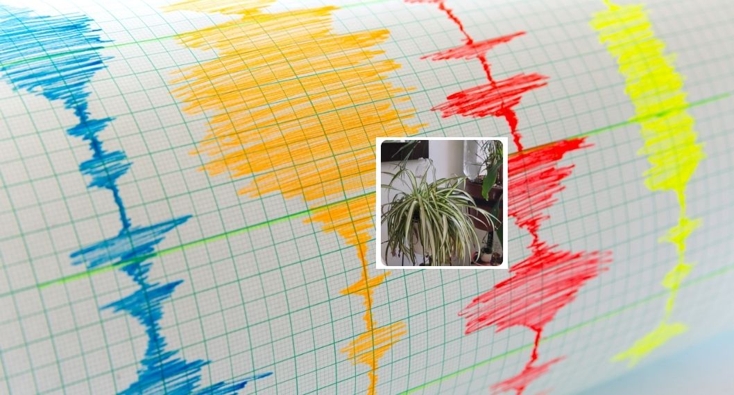 Temblor de 4.5 en Colombia 23 de septiembre de 2026: epicentro y dónde se sintió