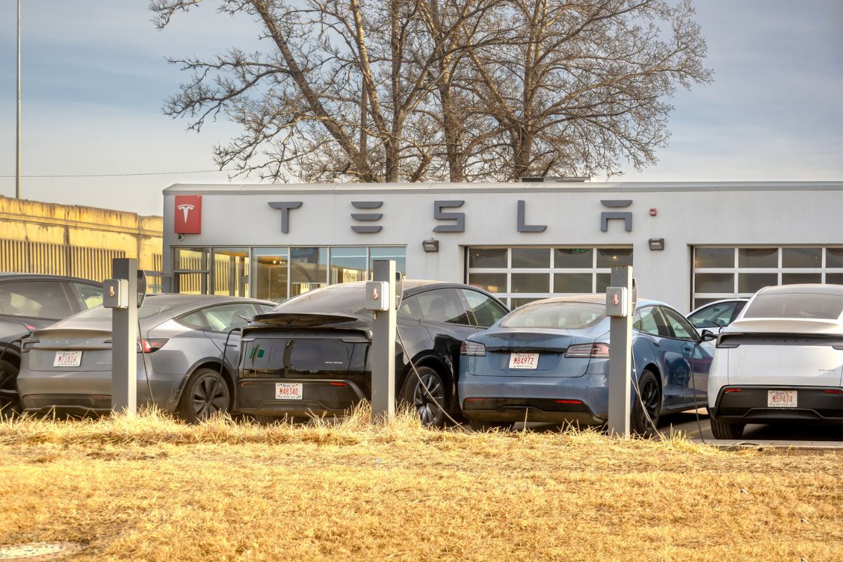 Tesla quedó en evidencia por falla de su sistema FSD: así afecta a conductores