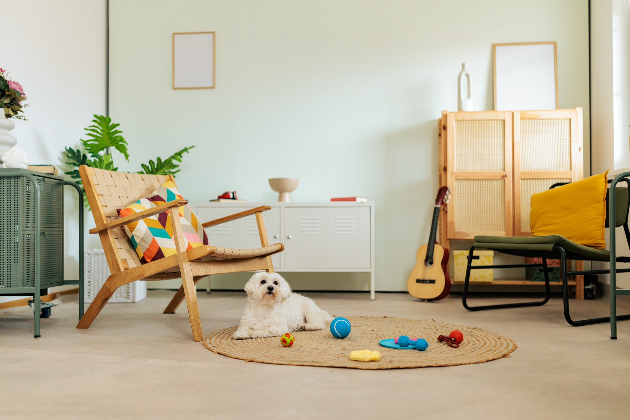 White dog lying on a woven rug surrounded by colorful dog toys in a bright living room interior. The relaxed home setting captures a calm everyday moment of pet life and playtime in a modern domestic environment.
