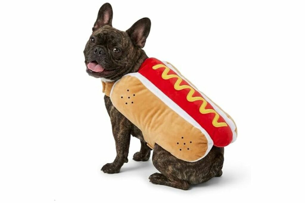 Disfraz de perro caliente para perros, divertido disfraz de perro caliente con ajuste ajustable, lindo disfraz de Halloween para perros medianos / Amazon