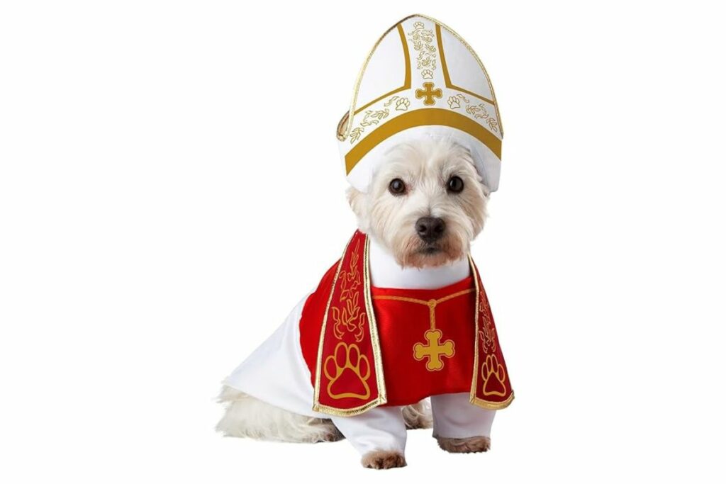 Disfraz de Santo Sabueso de California Costume Collections , M, Rojo/Blanco / Amazon