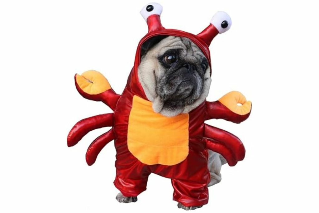 BAMY Disfraz de cangrejo para perro de Halloween / Amazon