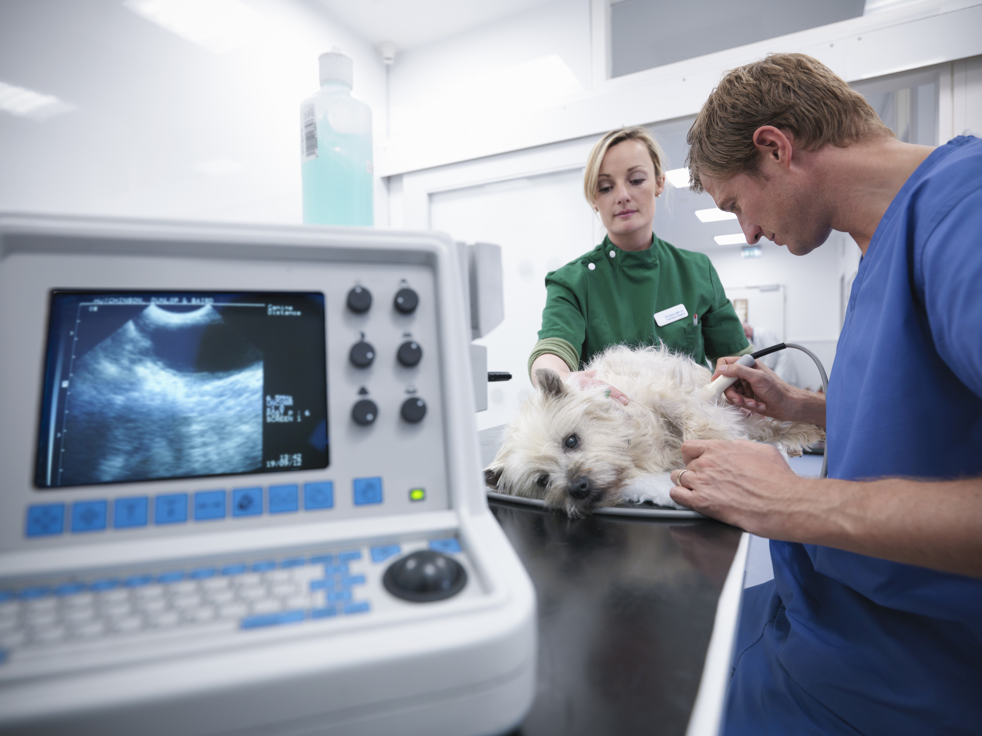 Alerta en Bogotá por robo millonario de equipos médicos en clínica veterinaria