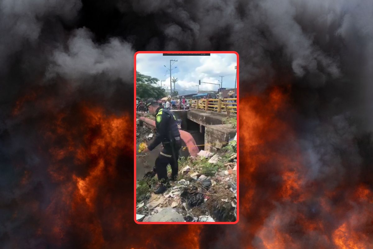 Quién es la joven de 19 años que quemaron bajo un puente de Cali: identificaron