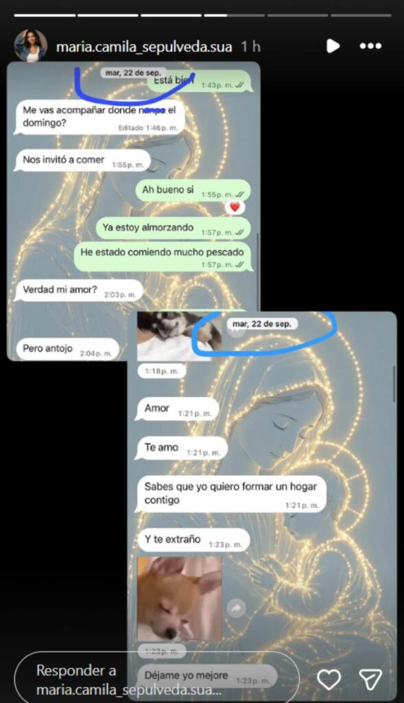 Chats de Camila Sepúlveda sobre Camilo Cifuentes / Instagram @maria.camila_sepulveda.sua