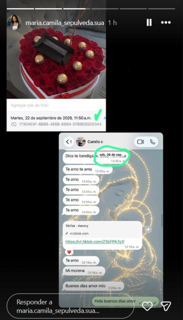 Chats de Camila Sepúlveda sobre Camilo Cifuentes / Instagram @maria.camila_sepulveda.sua