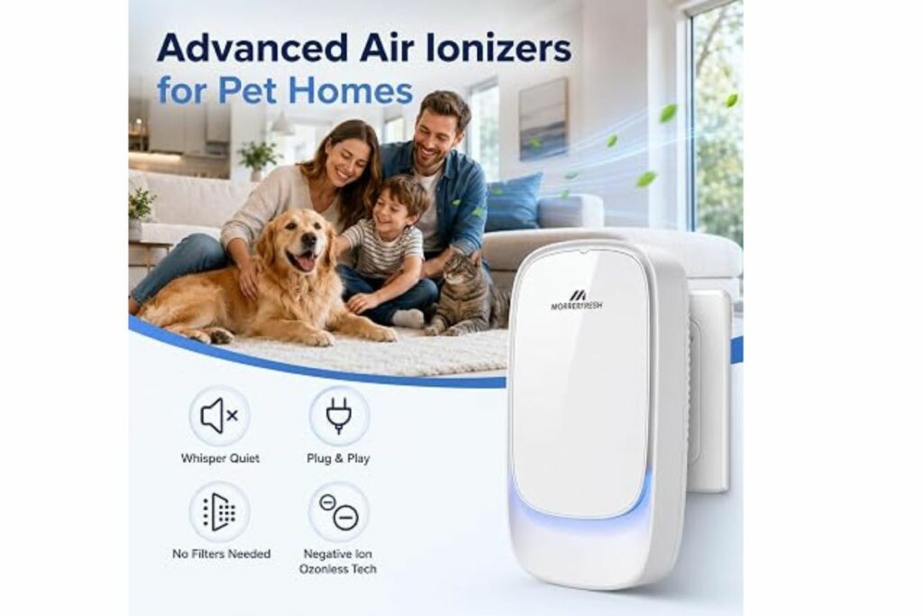 Ambientador para eliminar olores de ozono para el hogar, desodorante de arena para gatos, 99% de mascotas eliminador de olores purificador de aire (purificador de iones D-negativos) / Amazon