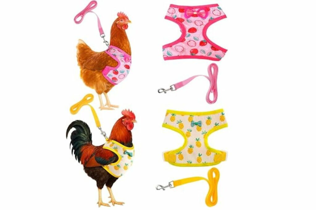 Juego de 2 arnés ajustable de pollo y correa, cómodo chaleco de pollo elástico para gallina con estampado de piña y fresa para mascotas pequeñas, suministros de entrenamiento de pato, ganso, gallina y senderismo / Amazon
