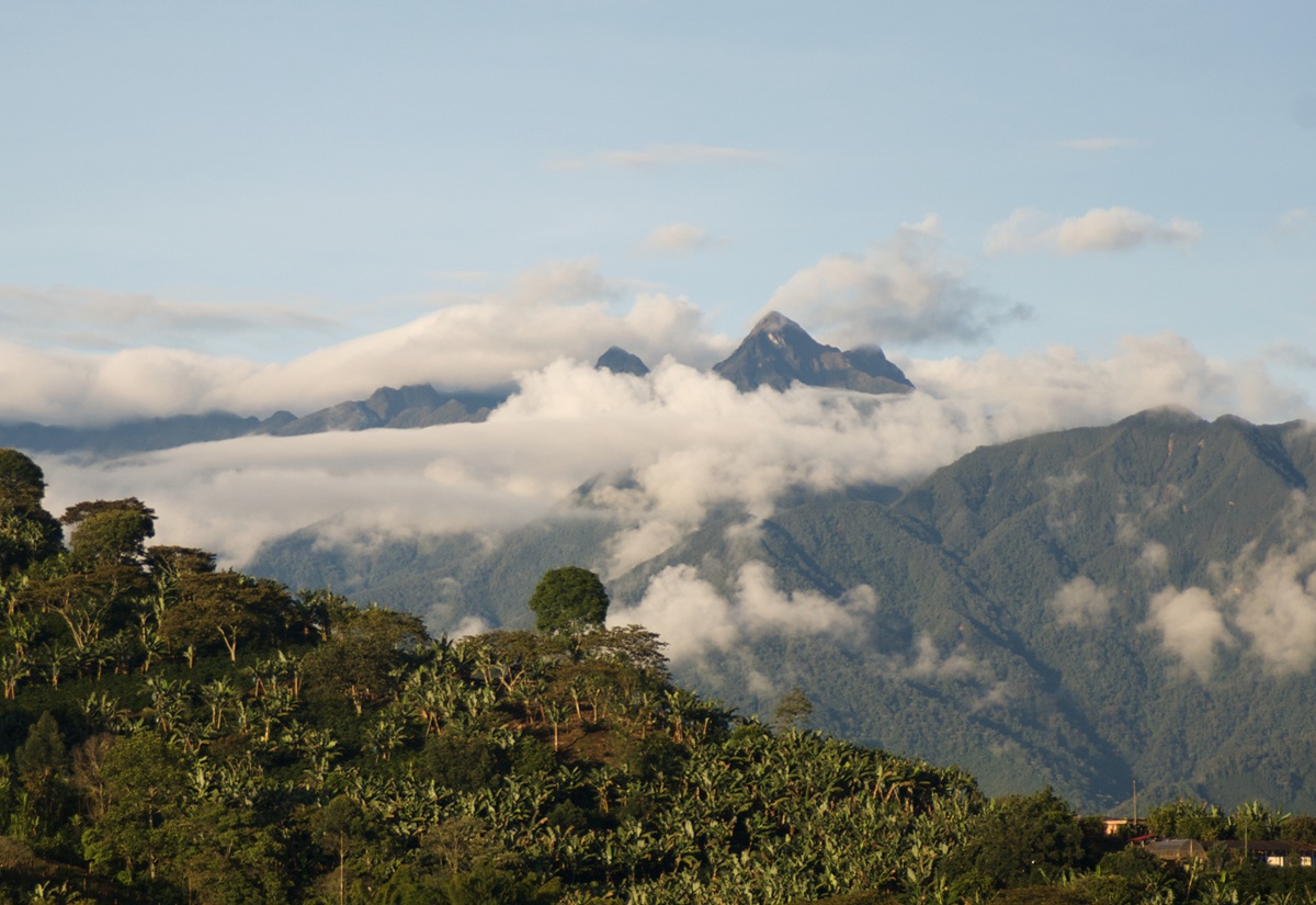 Aire preocupa en Antioquia: dos estaciones registraron contaminación alta