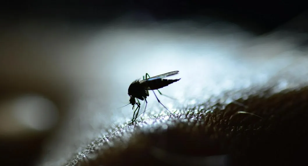 Paro minero complicó los contagios de dengue y malaria en Antioquia
