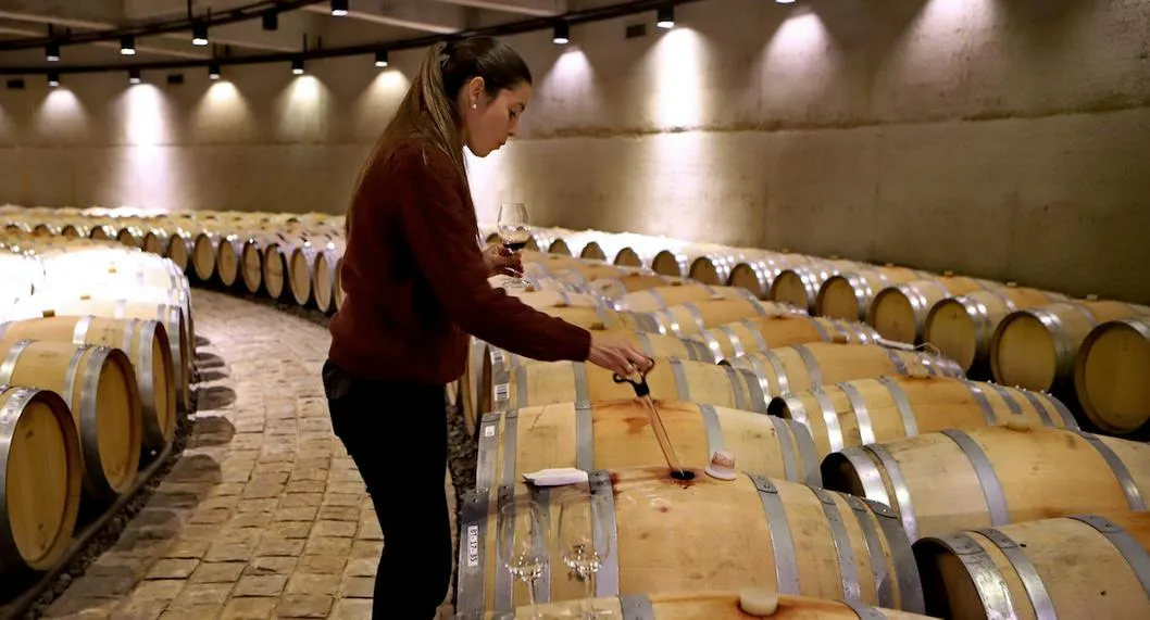 5 de las mujeres mas reconocidas en la industria del vino argentino, cómo son y qué piensan sobre su protagonismo
