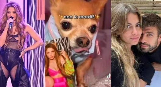 Perro daña foto de Piqué y Clara Chía; se hace viral por ser del equipo Shakira