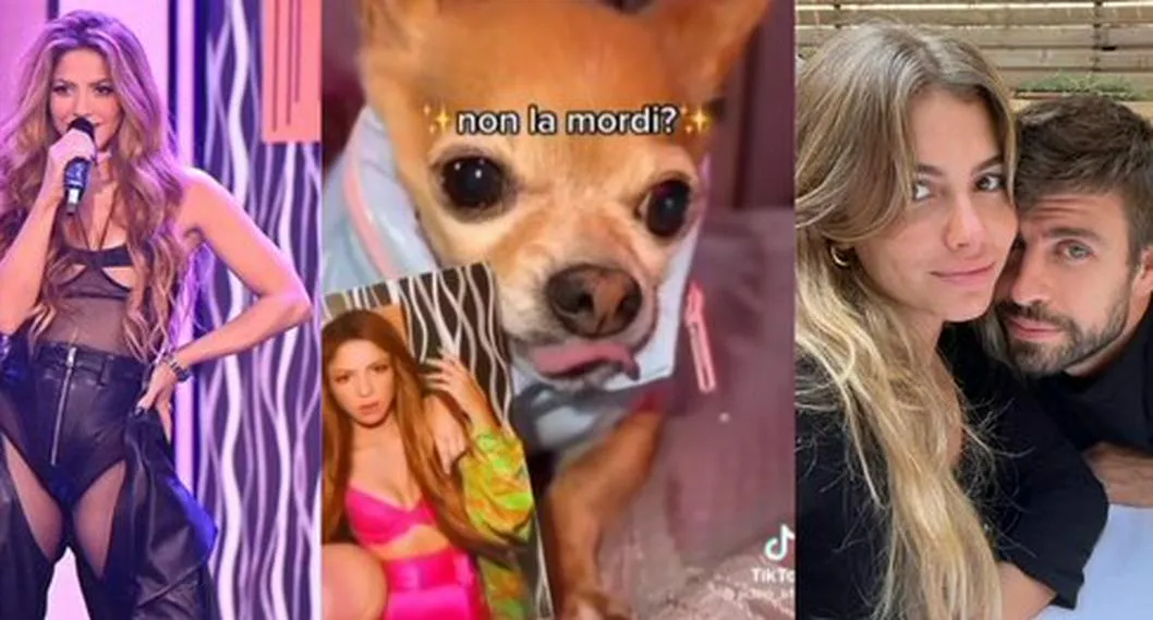 Perro daña foto de Piqué y Clara Chía; se hace viral por ser del equipo Shakira