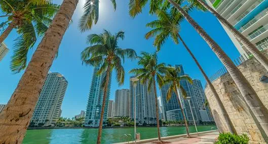 Cinco planes para hacer en Miami, Florida, durante el fin de semana que incluye deportes, música y entretenimiento.