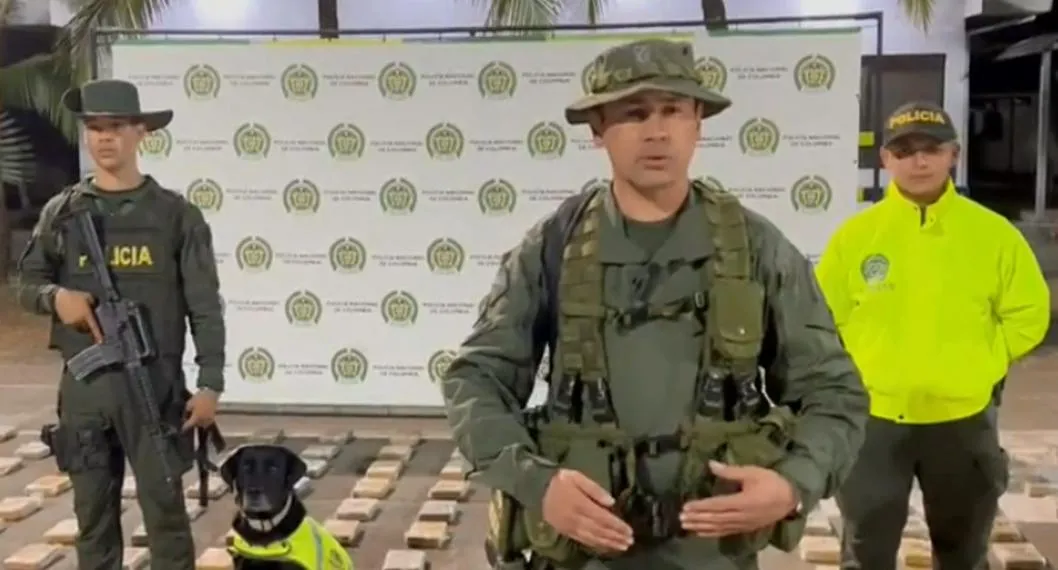 Incautan 1.618 kilos de cocaína dentro de cajas de banano en Antioquia