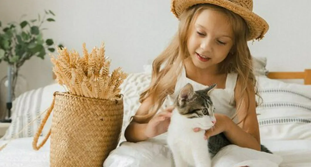 Si está pensando en adoptar un gato, acá le dejamos algunas razas que se llevan de la mejor manera con los infantes.