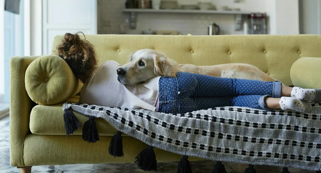 Foto de niña con un perro, a propósito de razas buenas para vivir con niños