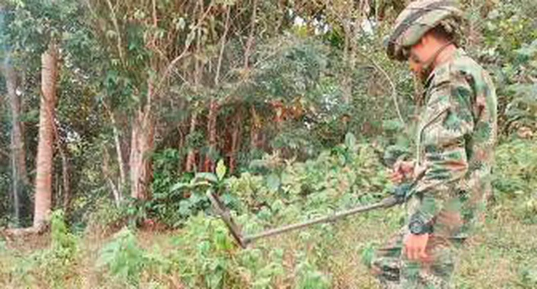 La Décimo Séptima Brigada ubicó y destruyó dos minas antipersonal en el sector de Polín y un deposito de explosivos, en Chocó. 