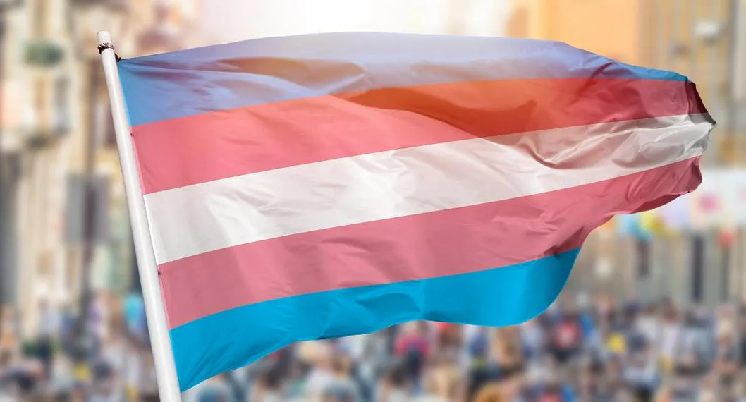 Hoy se celebra el Día Internacional de Visibilidad Trans; qué es transgénero, qué significan los demás términos